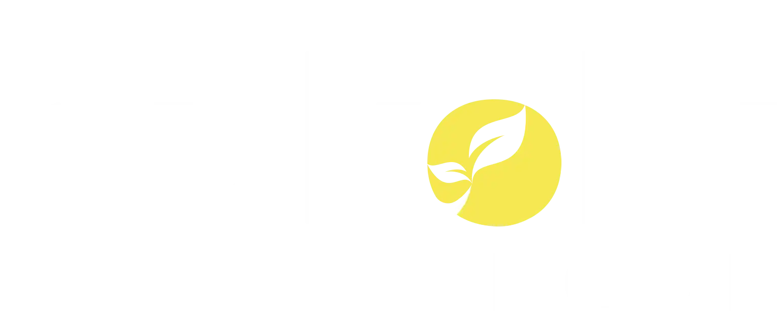 The Bukola Group Logo White Text with Yellow Leaf in the Letter O